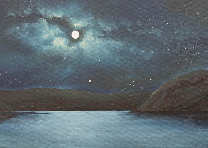 Moonlight over Portree Harbour 