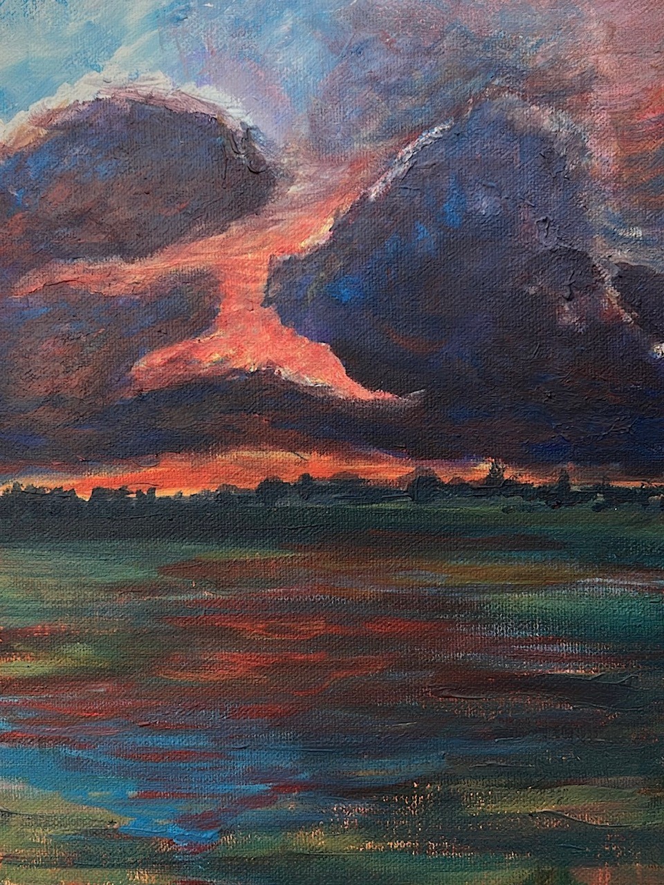 Flooded Meadow