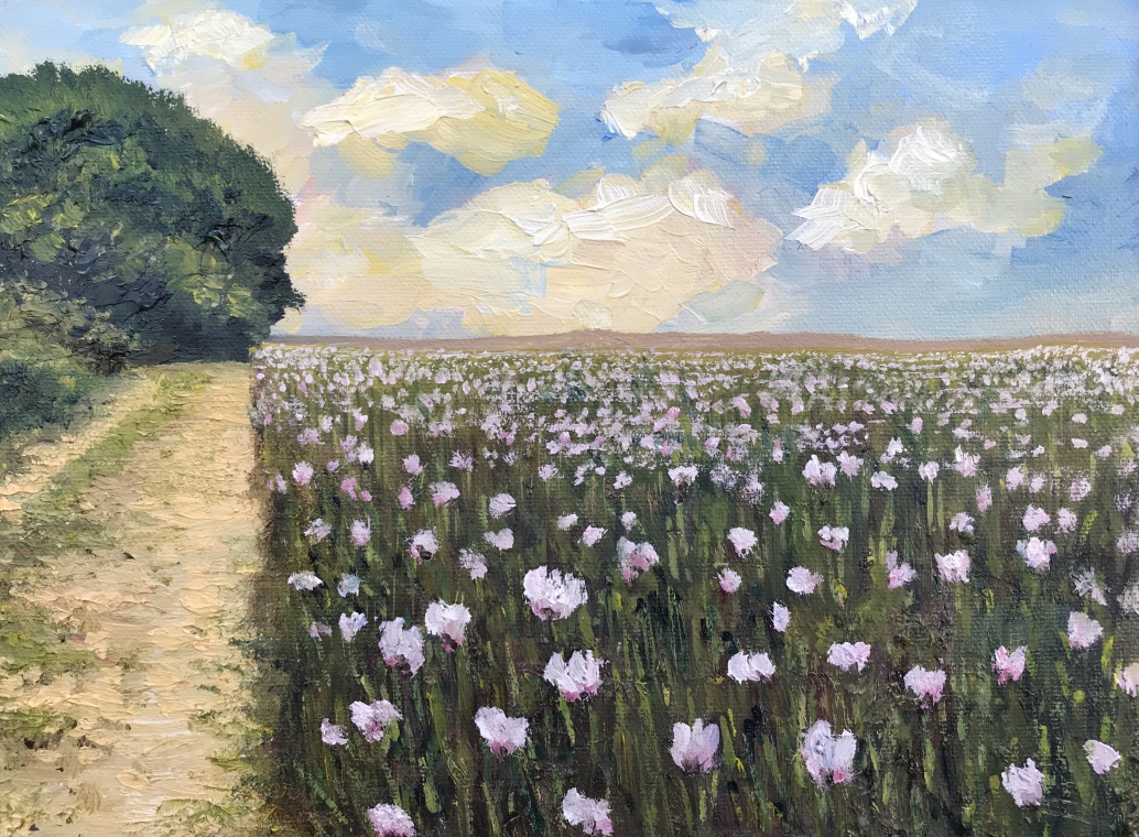10 x 'Poppy Path' cards
