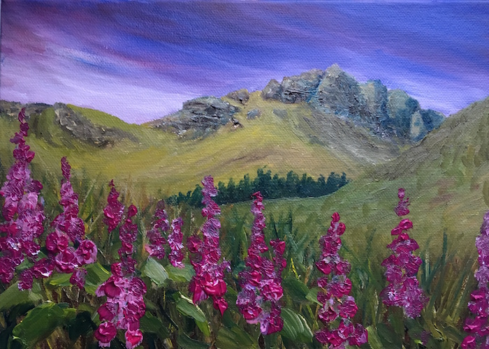 10 x 'Foxgloves by the Storr' cards