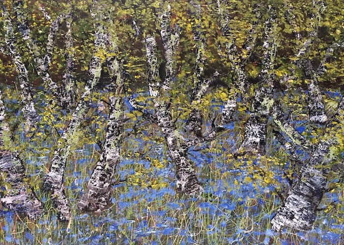 10 x 'Dense Birches' cards