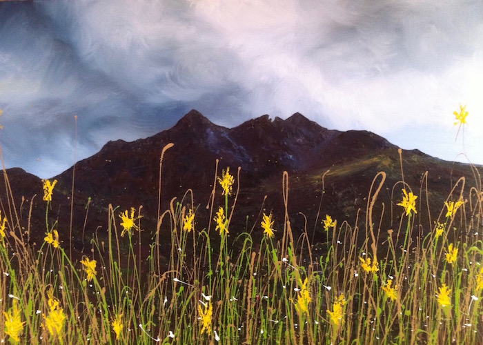 Cuillin Wildflowers, prints only