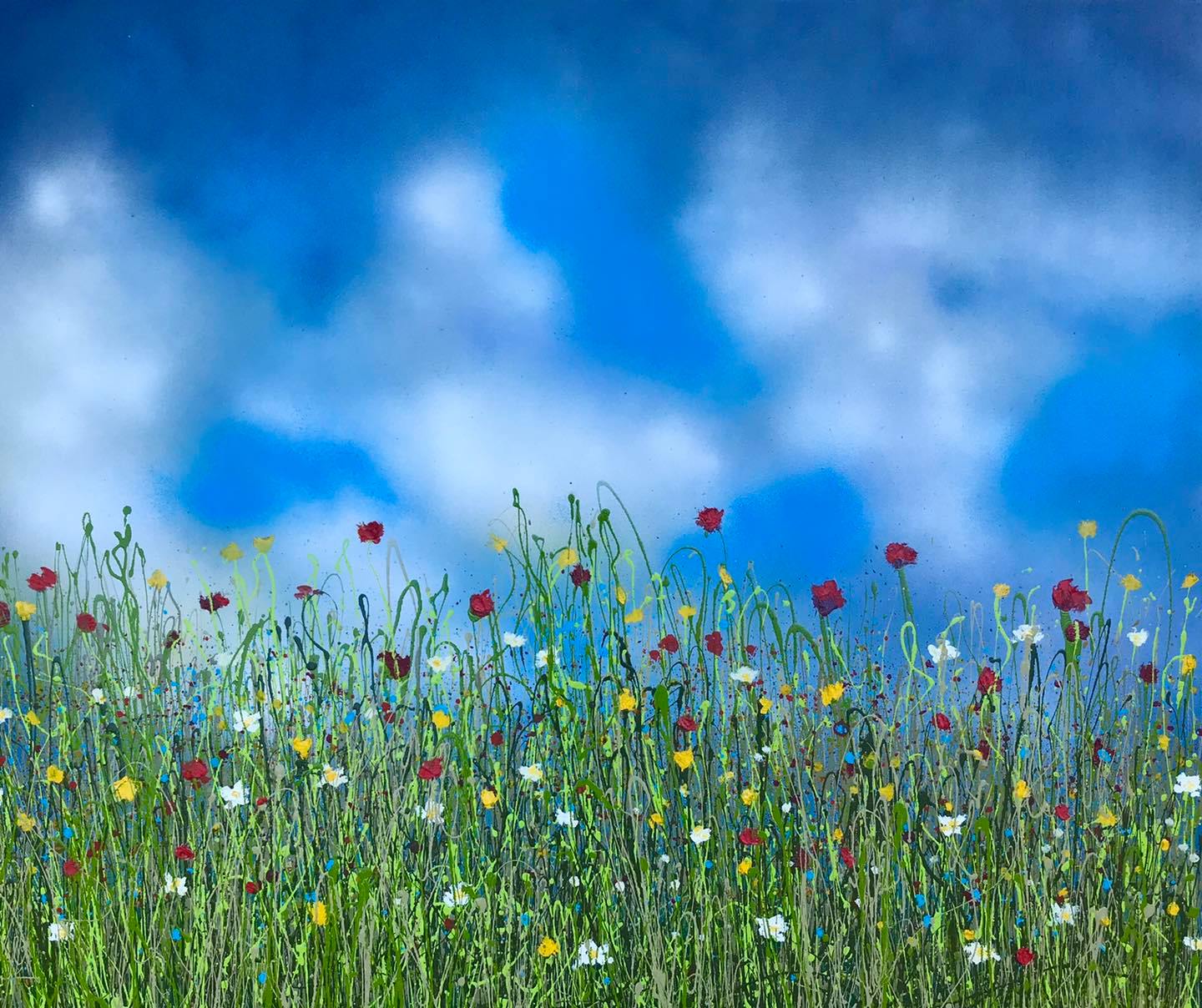 Wildflower Meadow